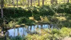 Foto 5 de Fazenda/Sítio com 4 Quartos à venda, 350000m² em Zona Rural, Delfim Moreira