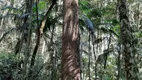 Foto 10 de Fazenda/Sítio à venda, 20000m² em Estrada das Areias, Indaial