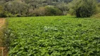 Foto 8 de Fazenda/Sítio com 10 Quartos à venda, 532400m² em , Santa Leopoldina