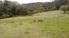 Foto 15 de Fazenda/Sítio à venda, 2299000m² em Campo Largo da Roseira, São José dos Pinhais