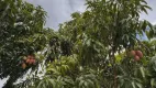 Foto 4 de Fazenda/Sítio com 3 Quartos à venda, 200m² em Engenho das Lages, Brasília