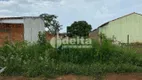 Foto 4 de Lote/Terreno à venda, 300m² em Segismundo Pereira, Uberlândia