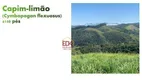 Foto 4 de Fazenda/Sítio com 10 Quartos à venda, 726000m² em Centro, Silveiras