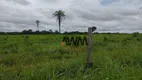 Foto 31 de Fazenda/Sítio à venda, 48400000m² em Centro, Formosa