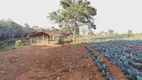 Foto 17 de Fazenda/Sítio com 3 Quartos à venda, 320m² em Parque Bom Jesus, Goiânia