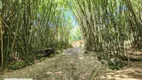 Foto 12 de Lote/Terreno à venda, 4490m² em Ingleses do Rio Vermelho, Florianópolis