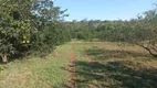 Foto 7 de Fazenda/Sítio à venda, 570000m² em Zona Rural, Jaraguari