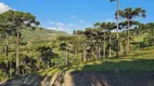 Foto 7 de Lote/Terreno à venda em Santa Tereza, Urubici