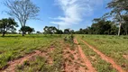 Foto 6 de Fazenda/Sítio com 3 Quartos à venda, 2613600m² em Nossa Senhora Aparecida, Uberlândia