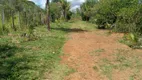 Foto 26 de Fazenda/Sítio com 4 Quartos à venda, 20000m² em Area Rural de Ceilandia, Brasília