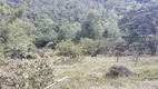 Foto 175 de Fazenda/Sítio com 4 Quartos à venda, 900000m² em Zona Rural, Natividade da Serra