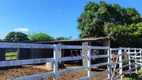 Foto 24 de Fazenda/Sítio com 4 Quartos à venda, 130m² em Zona Rural, São José de Mipibu