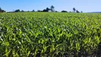 Foto 2 de Fazenda/Sítio com 1 Quarto à venda, 1100000m² em Zona Rural, São Gotardo