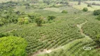 Foto 12 de Fazenda/Sítio com 1 Quarto à venda, 183920m² em , Espírito Santo do Pinhal