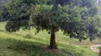 Foto 35 de Fazenda/Sítio à venda, 160000m² em Zona Rural, São Bonifácio