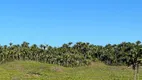 Foto 6 de Fazenda/Sítio à venda em , Itapecuru Mirim