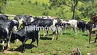 Foto 12 de Fazenda/Sítio com 5 Quartos à venda, 100000m² em , Virgínia