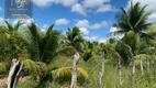 Foto 9 de Fazenda/Sítio com 3 Quartos à venda, 40000m² em Centro, 