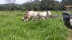 Foto 17 de Fazenda/Sítio com 2 Quartos à venda em Zona Rural, Montes Claros