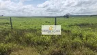 Foto 2 de Fazenda/Sítio com 10 Quartos à venda, 300m² em , Paraíso do Tocantins