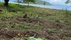 Foto 3 de Lote/Terreno à venda, 16300m² em Vila Histórica de Mambucaba, Angra dos Reis