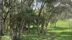 Foto 21 de Lote/Terreno à venda, 35000m² em Estrada do Invernador, Urubici