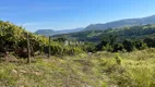 Foto 23 de Lote/Terreno à venda, 20000m² em Faria Lemos, Bento Gonçalves