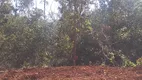 Foto 7 de Lote/Terreno à venda, 20000m² em Condomínio Aldeia da Jaguara, Jaboticatubas