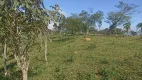 Foto 14 de Lote/Terreno à venda, 240000m² em Centro, Congonhal