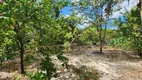 Foto 10 de Fazenda/Sítio com 2 Quartos à venda, 2000m² em Zona Rural, São José de Ribamar