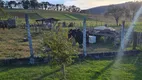 Foto 3 de Fazenda/Sítio com 4 Quartos à venda, 60500m² em Zona Rural, Monte Alegre do Sul