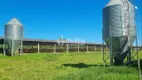 Foto 5 de Fazenda/Sítio à venda, 88000m² em Area Rural de Uberlandia, Uberlândia