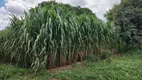 Foto 16 de Fazenda/Sítio com 4 Quartos à venda, 500m² em Brazlândia, Brasília