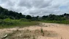 Foto 11 de Lote/Terreno à venda, 22000m² em Novo Israel, Manaus