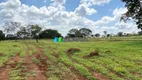 Foto 4 de Fazenda/Sítio com 1 Quarto à venda, 290m² em Rural, Curvelo