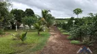 Foto 43 de Fazenda/Sítio com 3 Quartos à venda, 180m² em , Sertaneja