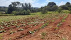 Foto 30 de Fazenda/Sítio com 6 Quartos à venda, 1000m² em Panorama Industrial, Igarapé