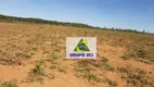 Foto 10 de Fazenda/Sítio à venda, 10340000m² em Zona Rural, Campinápolis