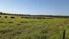 Foto 8 de Fazenda/Sítio com 3 Quartos à venda, 250m² em Zona Rural, Angatuba