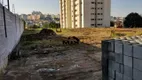 Foto 11 de Lote/Terreno à venda, 1000m² em Taboão, São Bernardo do Campo