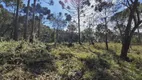 Foto 3 de Lote/Terreno à venda em Zona Rural, Urubici