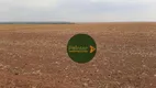 Foto 11 de Fazenda/Sítio à venda, 90000m² em Zona Rural, Nova Ubiratã