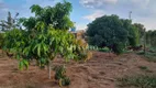 Foto 14 de Fazenda/Sítio com 3 Quartos à venda, 150m² em Zona Rural, Anápolis