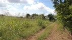 Foto 15 de Fazenda/Sítio com 1 Quarto à venda, 18000m² em Rosa dos Ventos, Aparecida de Goiânia