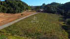 Foto 10 de Fazenda/Sítio com 1 Quarto à venda, 70000m² em , Flores da Cunha