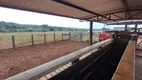 Foto 26 de Fazenda/Sítio com 4 Quartos à venda, 5000m² em Tabajaras, Uberlândia