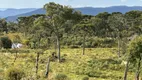 Foto 6 de Fazenda/Sítio à venda, 20000m² em Zona Rural, Urubici