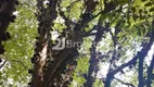 Foto 8 de Lote/Terreno à venda, 10m² em Granja Julieta, São Paulo