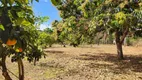 Foto 20 de Fazenda/Sítio com 3 Quartos à venda, 192000m² em Centro, Hidrolândia