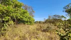 Foto 58 de Fazenda/Sítio com 3 Quartos à venda, 192000m² em Centro, Hidrolândia